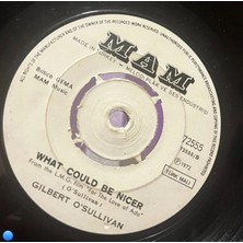Plakantik Gilbert O'sullivan - Clair / What Could Be Nicer - 7" Single Vinyl (M.a.m. 72555 - Türkiye Baskısı)