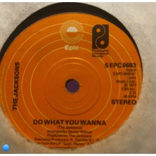 Plakantik The Jacksons - Blame It On The Boogie / Do What You Wanna 7" Vinyl Single (Uk Press, 1978)