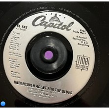 Plakantik Tina Turner - The Best / Undercover Agent For The Blues (7" Vinyl Single, 1989, Uk Press)