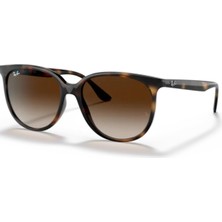 Ray-Ban Rayban RB 4378 71013 54 Kadın Güneş Gözlüğü