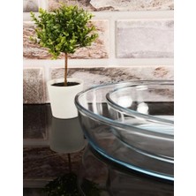 Paşabahçe 2'li Oval Tepsi Şeffaf Cam Malzemeden Üretilmiş Kullanışlı Fırın Tepsisi