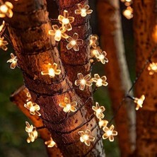 Eco Lounge Solar 5m 50 LED Papatya Gün Işığı 8 Fonksiyonlu