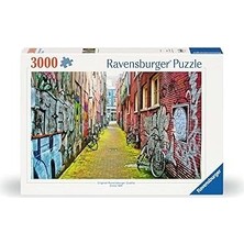 SHC4200 3000P Puzzle Grafiti