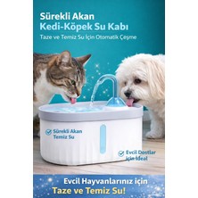 Kedi Köpek Su Kabı Otomatik Su Şelalesi  Otomatik Suluk