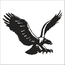 Technopa Kartal Folyo Sticker 120 100CM Uzunluk