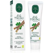 Najmaddin Eyüp Sabri Tuncer Doğal Diş Macunu 90 gr Misvak Özlü