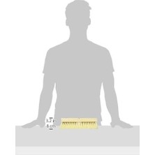 Dqb Industries 08755 Tampico Güverte Fırçalama Fırçası, 1 Konik ve 1 Dişli Delikli, 25 cm