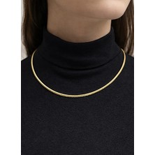 14 Ayar Altın Balık Sırtı Modeli Kolye