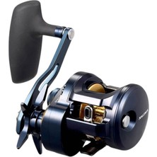 Daiwa 25 Saltiga 300HL Makine