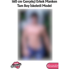 160 cm Gerçekçi Erkek Manken  Tam Boy Iskeletli Model