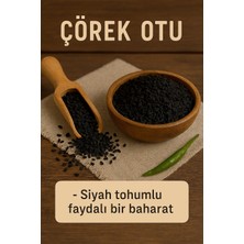 Gaziantep Çörek Otu 500 gr