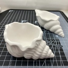 El Yapımı Taş Tozu Dekoratif 2'li Deniz Kabuğu Hediyelik Modern Salon ve Ev Dekorasyon Objesi