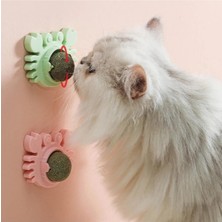 K-Yonlineticaret Yengeç Kedi Otu Oyun Topu