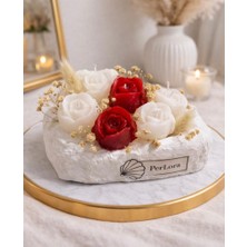 PerloraCo Lale Mum Alçı Saksıda