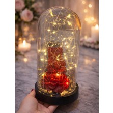 PerloraCo Çiçek Mum Özel Tasarım Işıklı Ledli Fanus