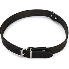 SHC4200 Karlie Deri Evcil Hayvan Boyun Tasması, 27 Cm-10 Mm, Siyah