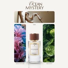 Muscent Gourmand Ocean Mystery