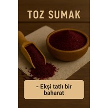 Gaziantep Toz Sumak 500 gr