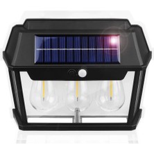 Solar Bahçe Aydınlatması 3'lü