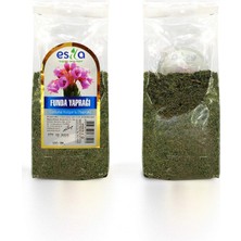 Poşet Funda Yaprağı 100 Gr. Nemere