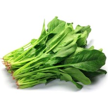 Ispanak Tohumu 25 gr Nemere