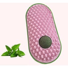 Silikon Kaşıyıcılı Kedi Otu Nemere