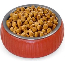 Mikopet Organik Seramik Mama Kabı Kiremit Nemere