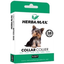 Pire Dış Parazit Kene Tasması - 38 cm Nemere