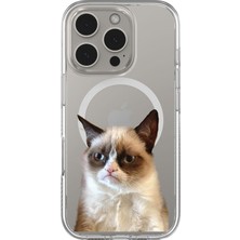 Adasena iPhone 14 Pro Max Temalı Magsafe Şarj Özellikli Şeffaf Baskılı Desenli Kılıf - Mad Cat