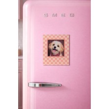 Keskatla Pötikare Pola Manyetik Fotoğraf Çerçevesi