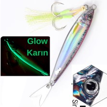 Eagenset Gerçekçi Lazer Hologram Metal Balık Jig, Yapay Yem  20 gr 6.5 cm Uv Neon Pembe Sırt, Fosforlu Glow Karın