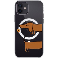 Adasena iPhone 12 Uyumlu Magsafe Şarj Özellikli Şeffaf Baskılı Desenli Kılıf - Sosis Köpek