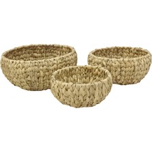 Panalı Pnl-Bwh-01 - L