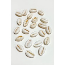 10 Adet Orjinal Istiridye Aparatı Küçük Nemere