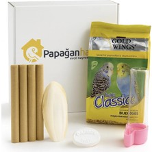 Papağanhane Muhabbet Kuşu Yemi ve Sağlık Seti | Kuş Yemi + Kalamar Kemiği + Suluk + Törpü