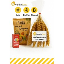 Papağanhane Kuş Tüyü Bakım Seti – Doğal Dal Darı + Yulaf Tohumu + B Vitaminli 3’lü Paket