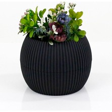 Mercan Saksı 2 Numara 0,35 Litre Su Hazneli Dekoratif Kaktüs Sukulent Saksı 11,8x9,2 cm Nemere