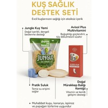 Papağanhane Kuş Sağlığı ve Beslenme Desteği | Jungle Yem + Vitamin + Gaga Taşı + Kemiği + Suluk