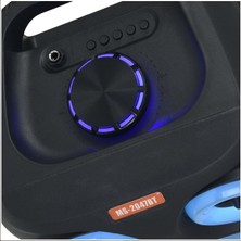 Rose MS-2047-BT Bluetooth ve USB Girişli 8 Inch Şarjlı Işıklı Hoparlör