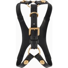 Versace Home Italyan Tasarımı, Siyah Deri Köpek Göğüs Tasması