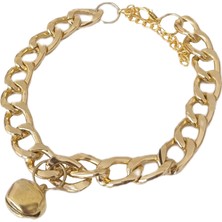 Indispensablely Kedi ve Köpek Lüx Zincir Kolye 25-30 cm Medium Gold