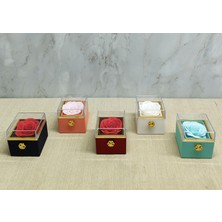 Lowell Home Ieg Romantik Gül Yüzük Kutusu Kare  LWLHMRS-İEG4256