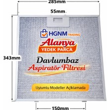 Hgnm E-Trading 80877665 Davlumbaz Filtresi 343 x 284MM Davlumbaz Yağ Filtresi Mutfak Aspiratörü