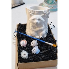 Taş Boyama Seti-Rakun Ağaç Kavugu- Boya-Fırça-Kalemlik- Biblo- Çok Amaçlı Dekoratif Obje