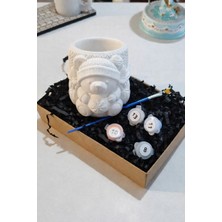 Taş Boyama Seti- Kış Ayicigi-Boya-Fırça- Kalemlik-Biblo- Çok Amaçlı Dekoratif Obje