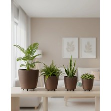 Zenvia 4lü Vazo Kahverengi