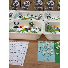 Pandatemalı Aktivite Kutusu  18–36 Ay – Eğitici Duyusal Oyun & Motor Beceri Geliştirici Set