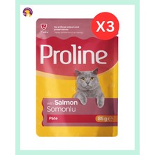 Proline Pouch Pate Somonlu Yaş Kedi Maması Seti 3×85 G