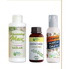 Blossoming Max, Plant Home %100 Saf Neem Yağı Anti-Fungus - Mantar Enfeksiyon Önleyici