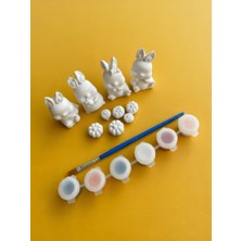 Tilekey Seramik Taş Tozu Tavşanlar ve Balkabakları Boyama Seti / Kendin Boya